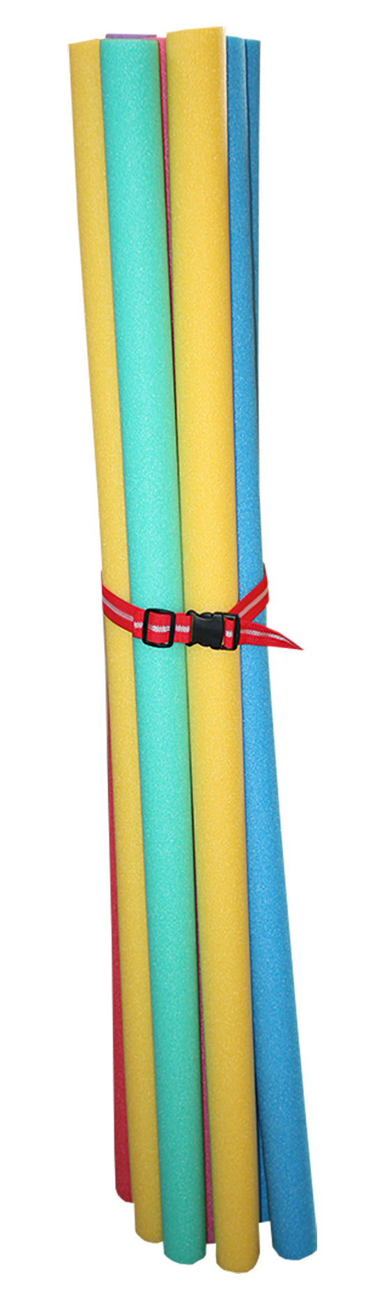 CINTA PORTA 10 FRITAS