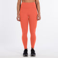 LEGGING ROX R-SILKY MESH